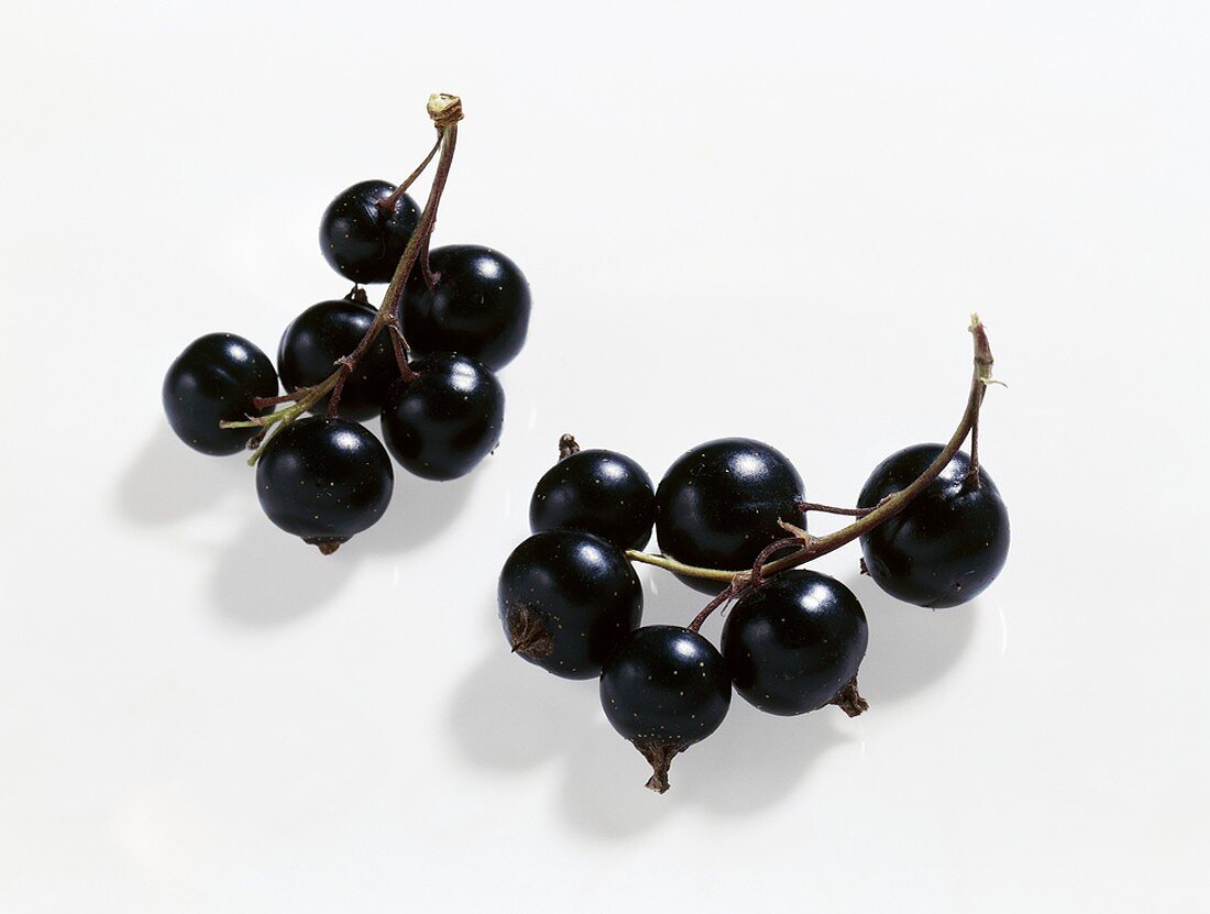 Blackcurrants (variety: Lissil)
