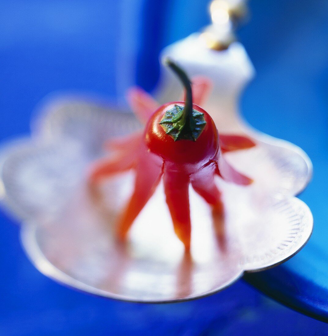 Red chilli garnish on silver spoon against blue background