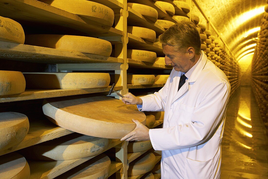 Man testing a Comté cheese in the Fort de Rousse cheese cellar