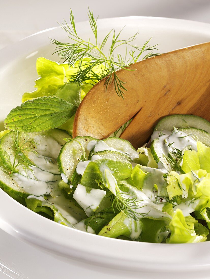 Lettuce with cucumber, dill and cream dressing