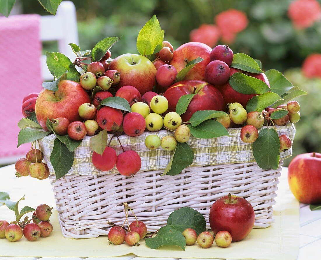 Apples and crab apples in basket