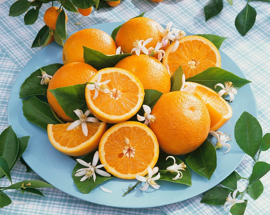 Orangen, Orangenblüten und -blätter auf türkisem Teller