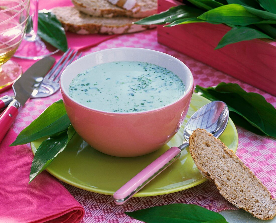 Ramsons (wild garlic) soup in pink bowl