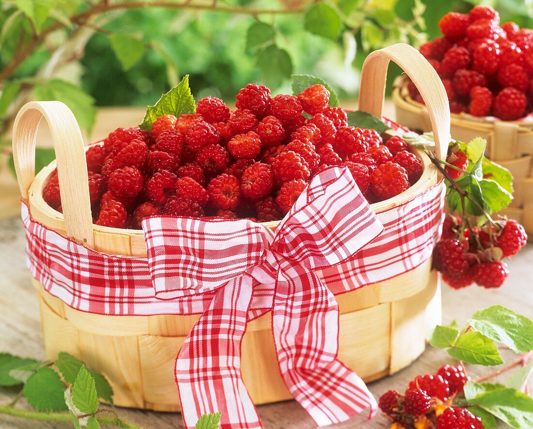 Raspberries in woodchip basket with checked bow