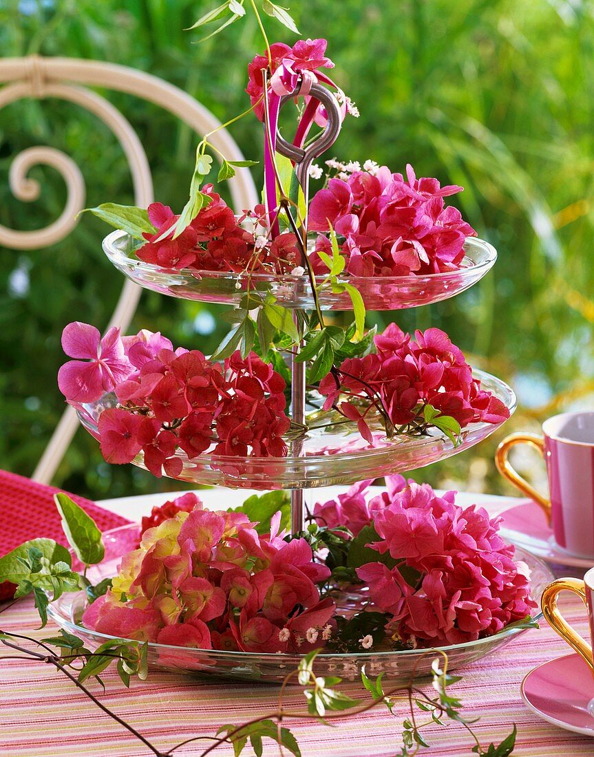 Rosa Hortensien mit Clematisranken auf Etagere aus Glas
