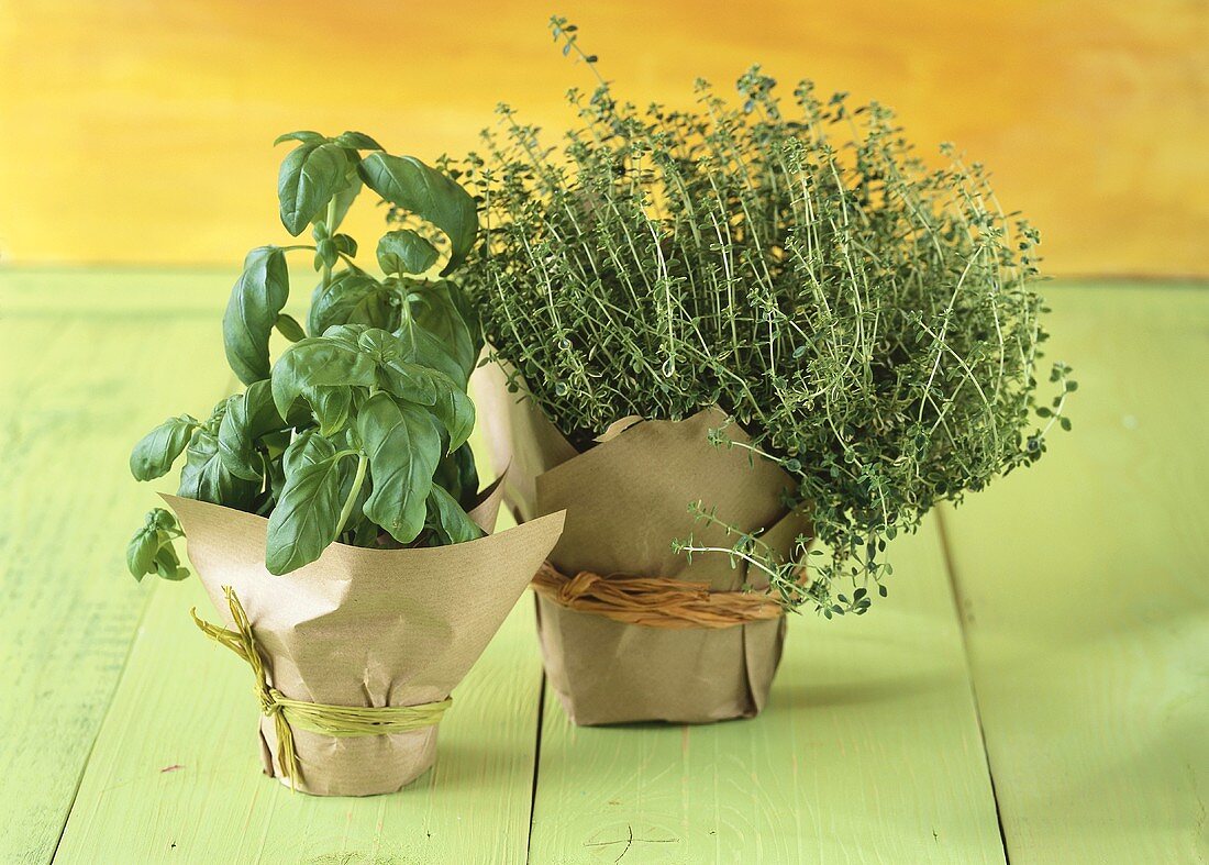 Basil and thyme