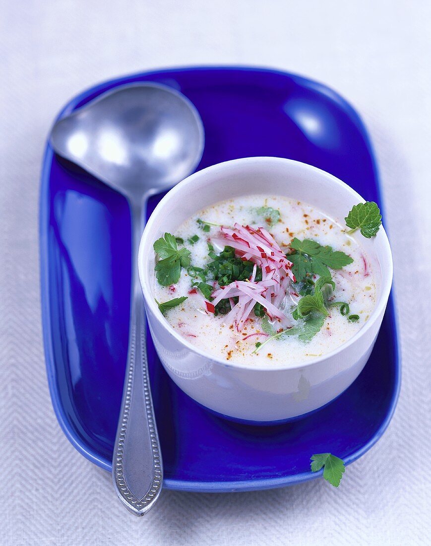 Cold radish soup with herbs