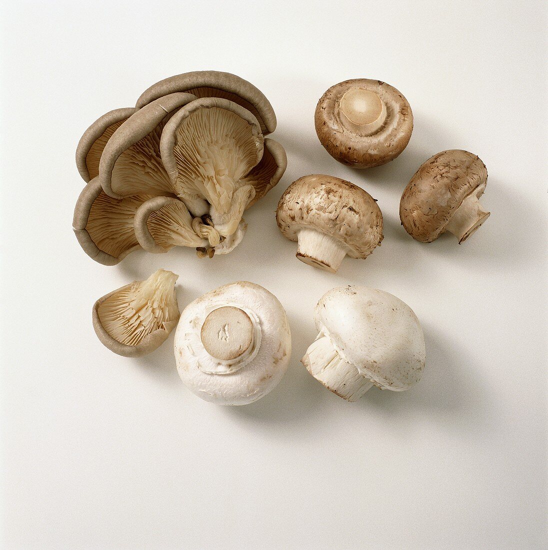 Oyster mushrooms, button mushrooms & chestnut mushrooms