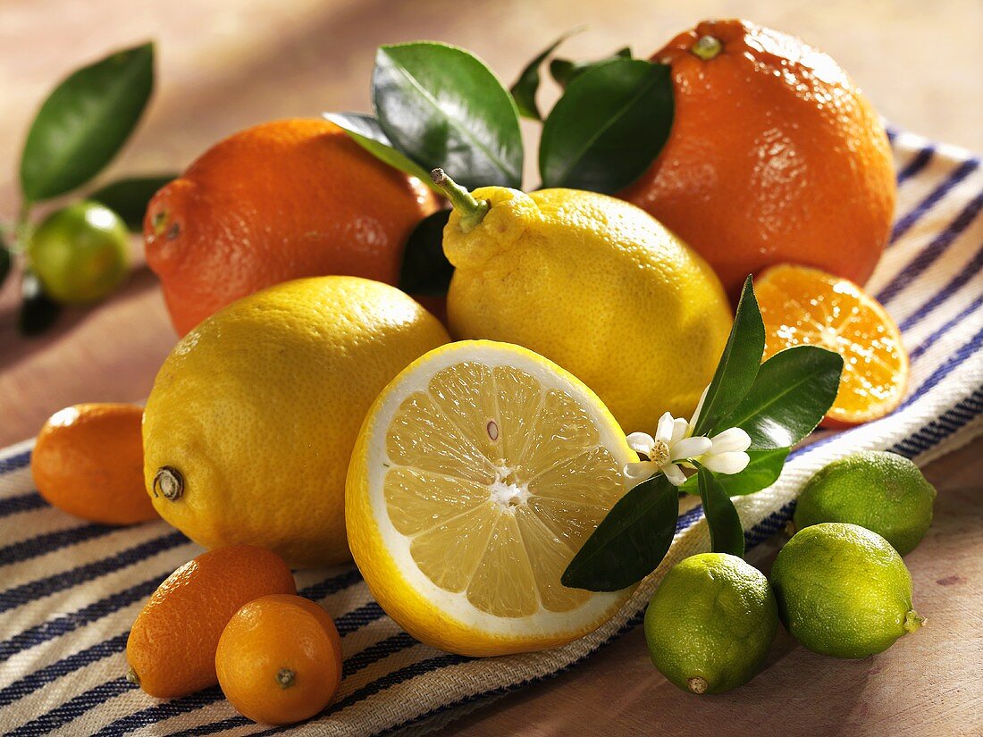 Still life with citrus fruit