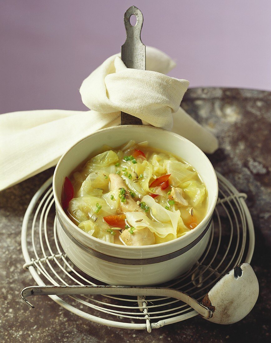 Rabbit and cabbage stew