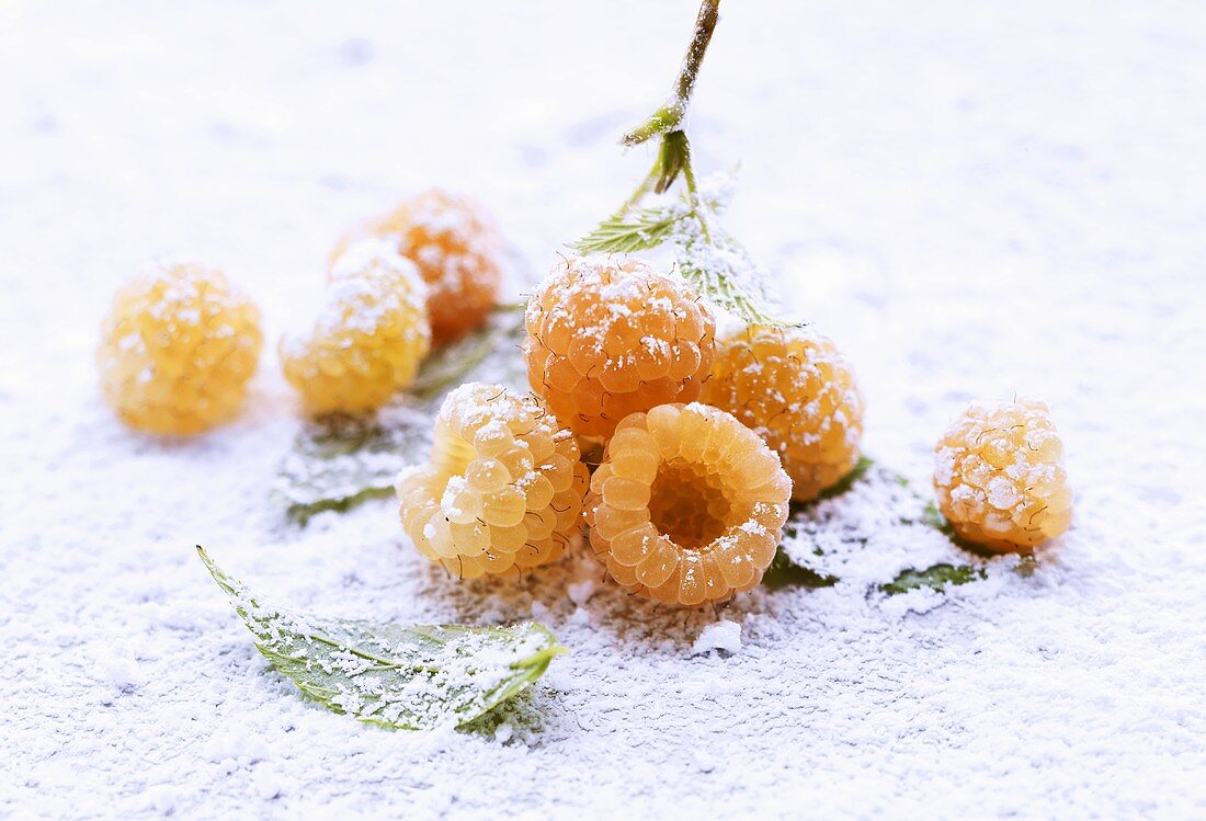 Raspberries with icing sugar