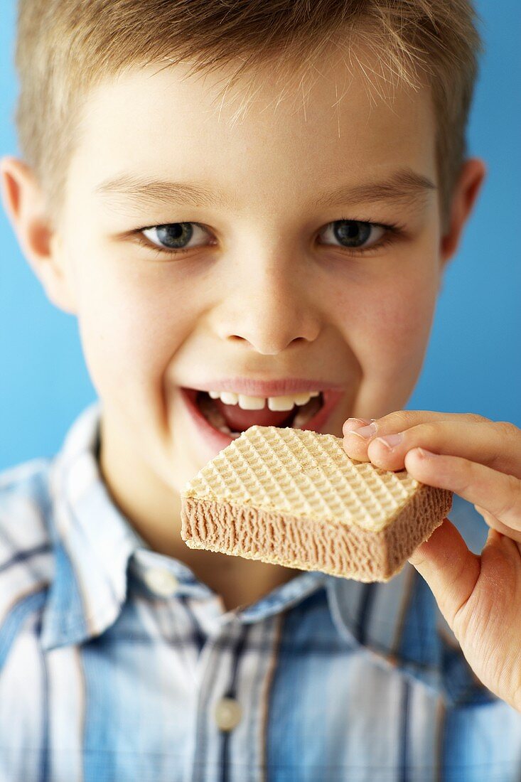 Boy eating an ice cream sandwich