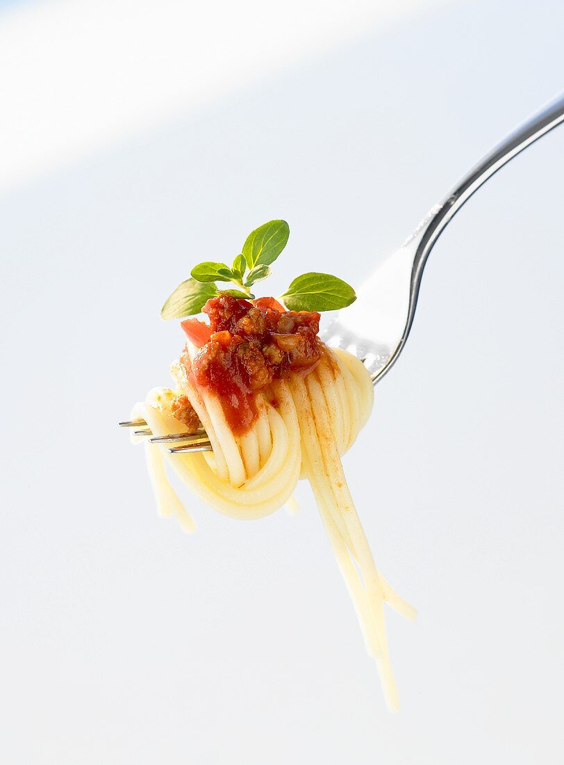 Spaghetti bolognese on fork