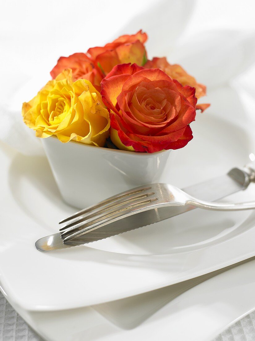 Rosen in weißem Topf als Tischdeko