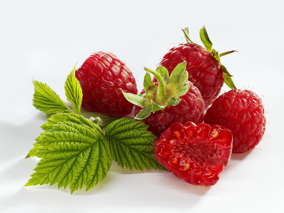 Raspberries with stalks and leaves