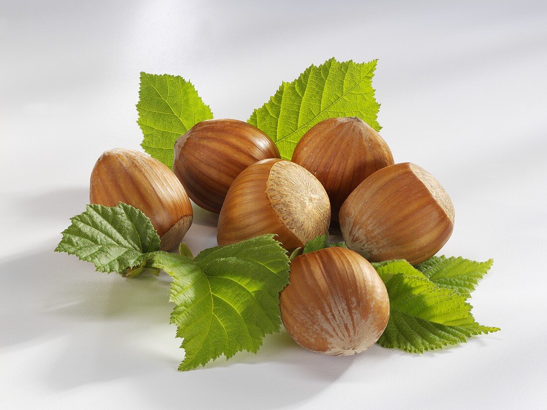 Hazelnuts with leaves