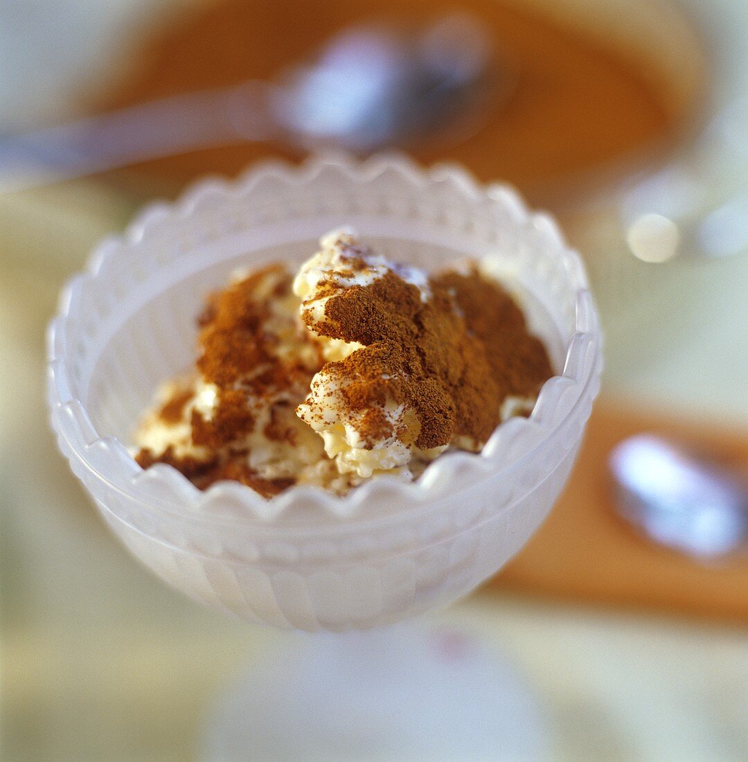 Rice pudding with cinnamon