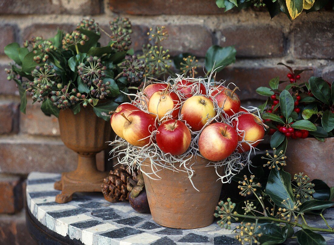 Winter decoration: pot of apples and ivy in metal vase