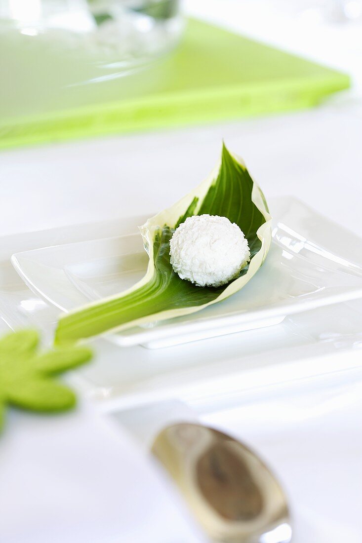Weisser Teller mit grünem Blatt und Kokospraline