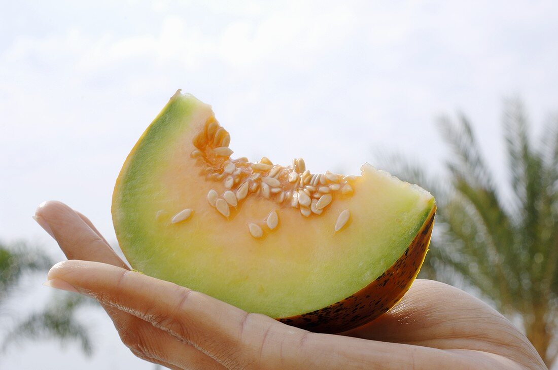 Hand holding a piece of Thai melon