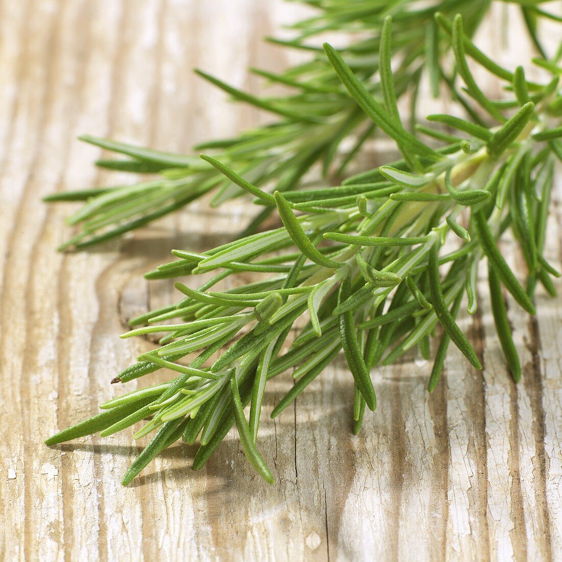 Fresh rosemary on wooden background