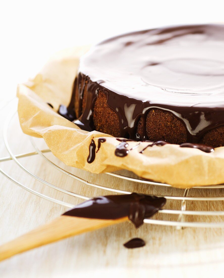 Chocolate cake with chocolate icing on cake rack