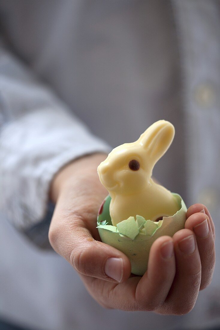 Child's hand holding Easter Bunny in eggshell