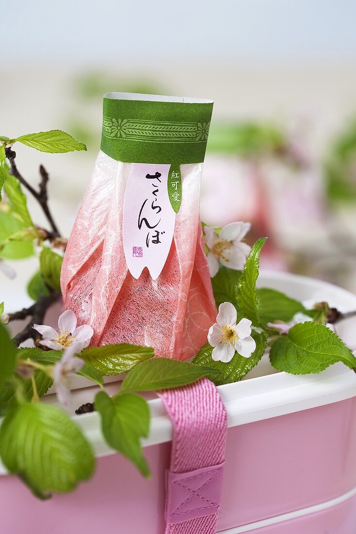 Bento box and sweets among cherry blossom (Japan)