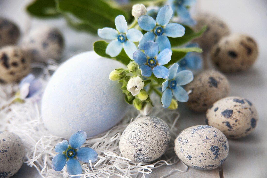 Easter eggs and quails' eggs with flowers