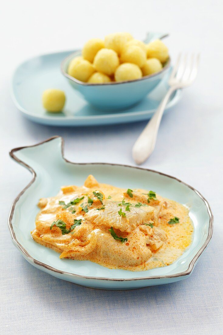 Fish fillet with onions and sour cream & paprika sauce