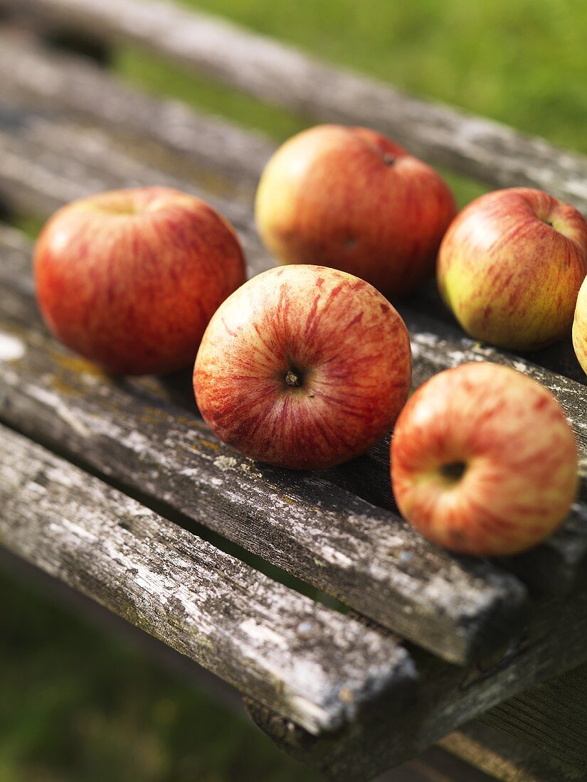 Fresh apples on wooden bench