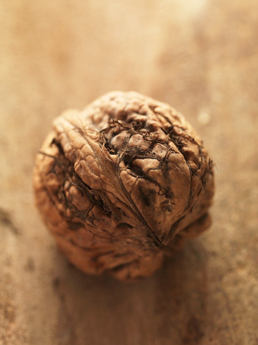 A walnut (close-up)