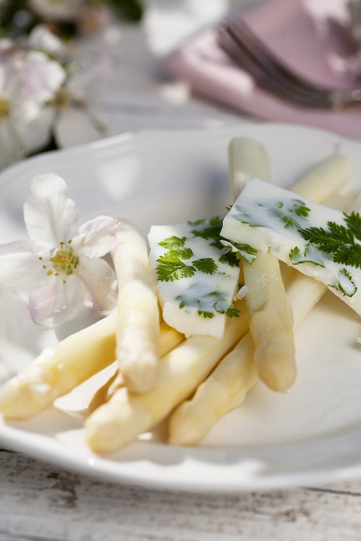 White asparagus with pieces of set chervil yoghurt