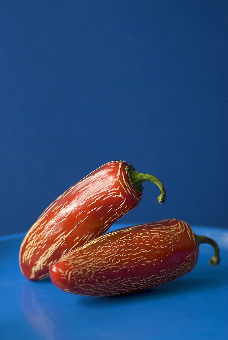 Two red chillies with lined skin