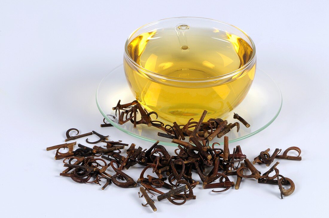 Uncaria-Zweige und Dornen mit Teetasse