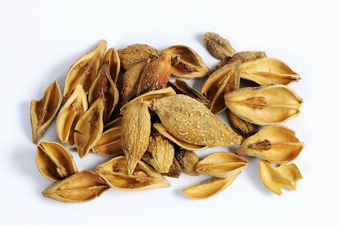 Dried forsythia fruits for making tea