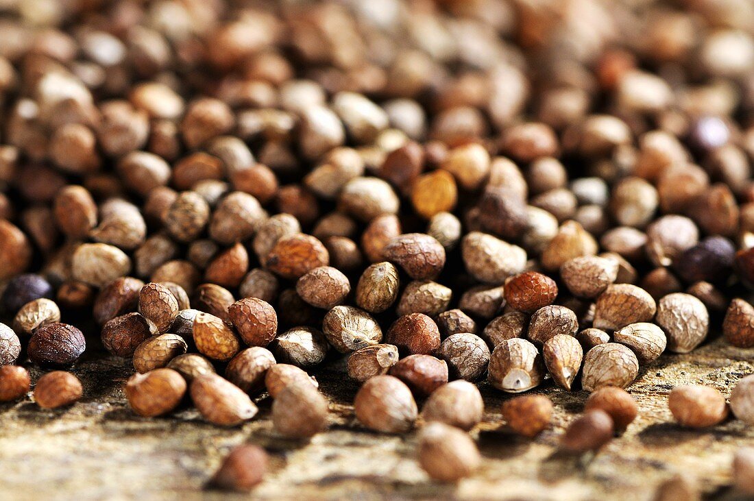 Perilla seeds