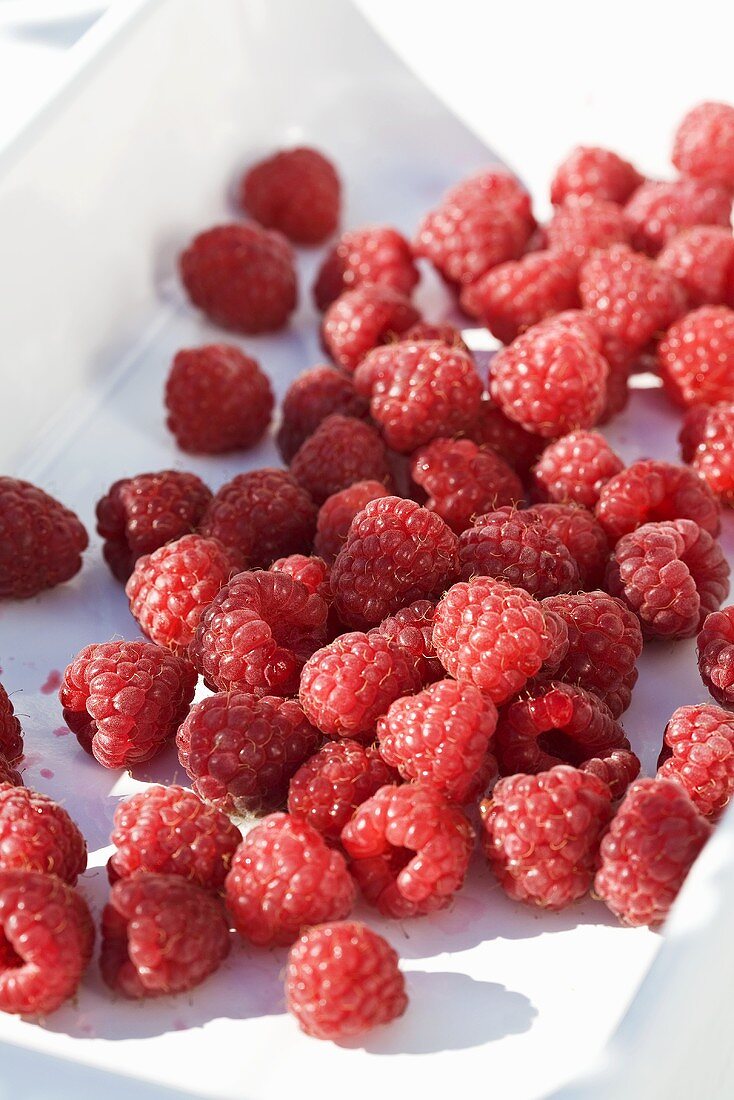 Raspberries