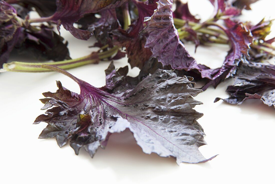 Red shiso leaves (Perilla)