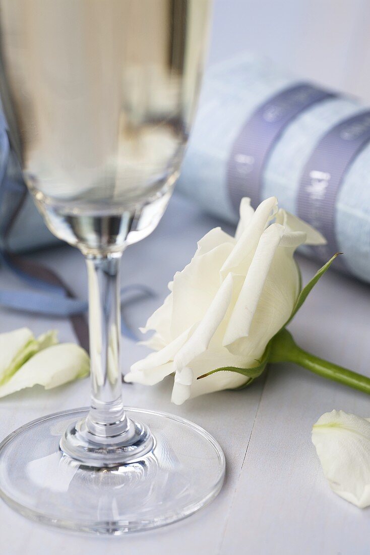 Sparkling wine glass and white rose
