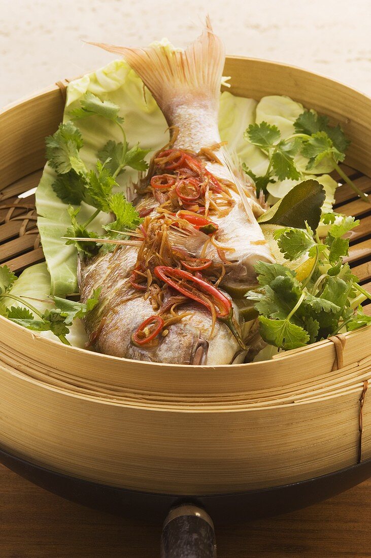 Steamed fish with fresh coriander in bamboo basket (Asia)