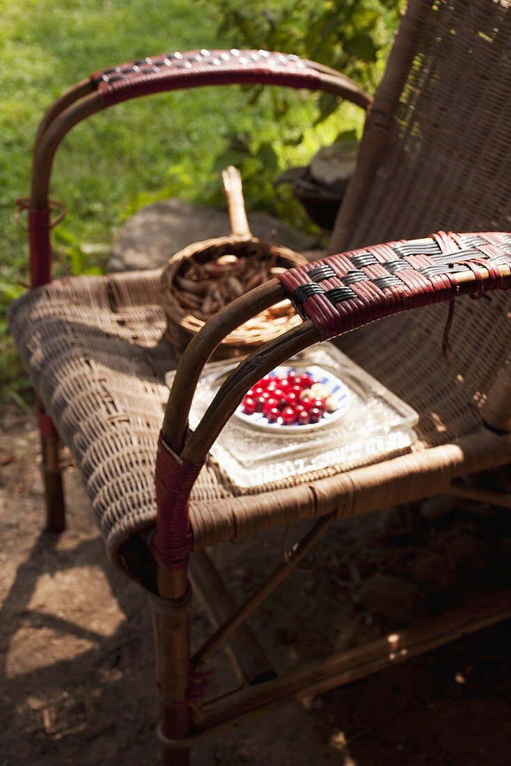 Gartenstuhl mit Cranberries und Schalotten