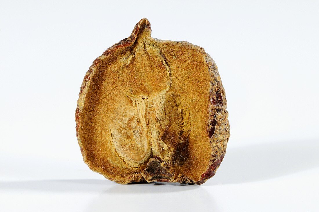 Dried haw (fruit of the hawthorn)