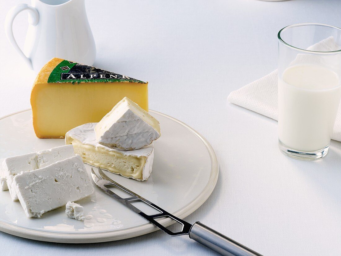 Various types of cheese to ward off osteoporosis