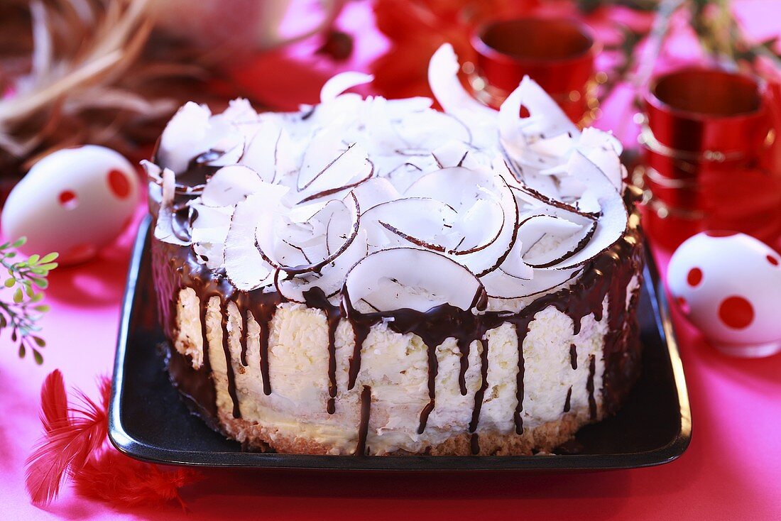 Chocolate coconut cake