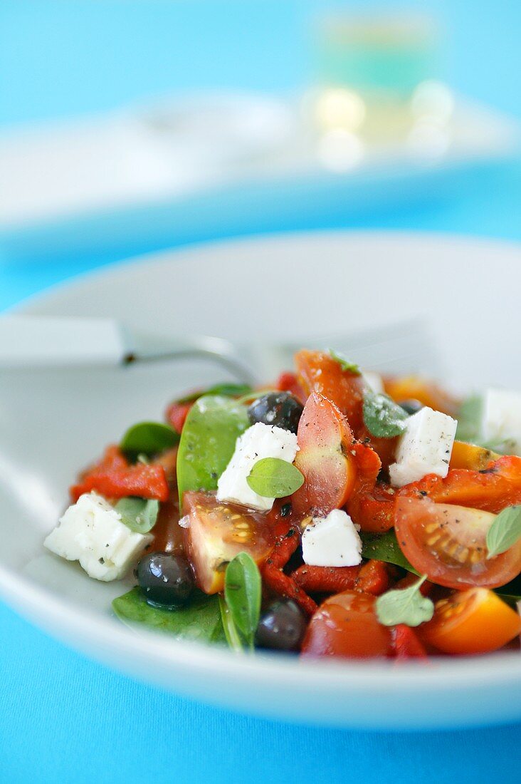 Griechischer Salat mit Feta – Bilder kaufen – 281753 StockFood