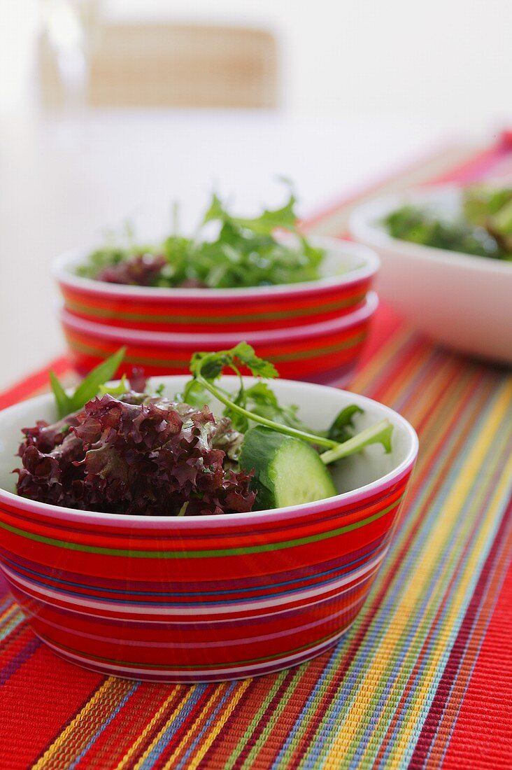 Salad leaves with cucumber in striped bowls