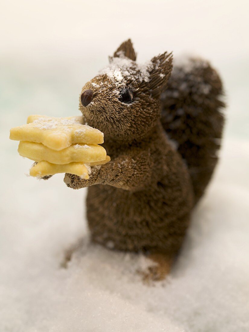 Squirrel with Christmas biscuits