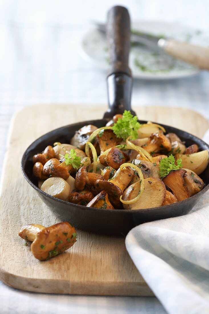 Fried mushrooms with cream sauce