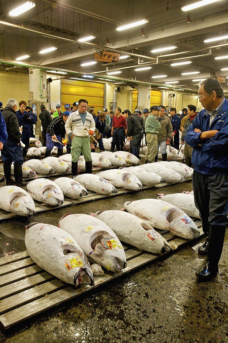 Thunfischversteigerung am Tsukiji-Fischmarkt in Tokio